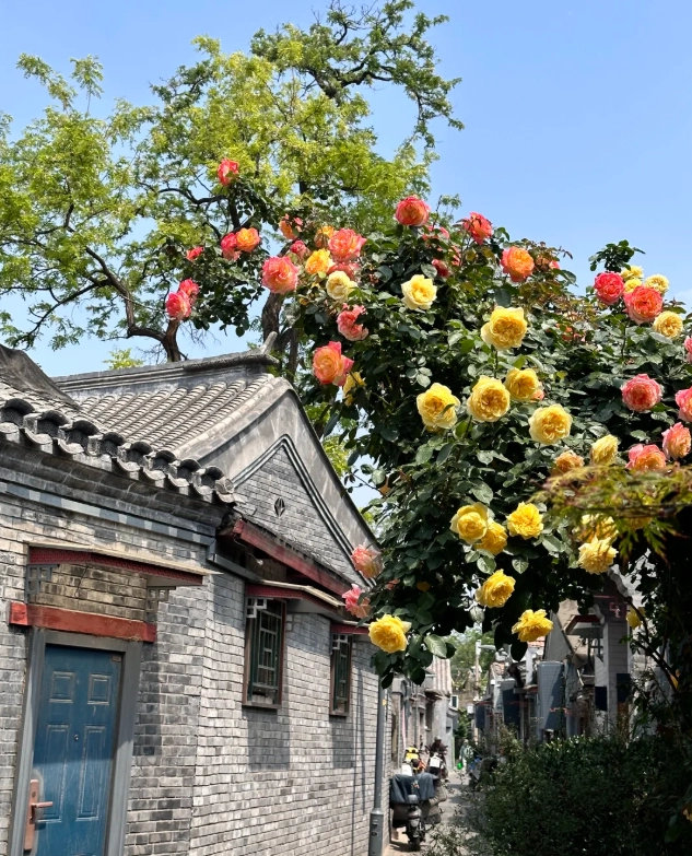 Beijing sightseeing
