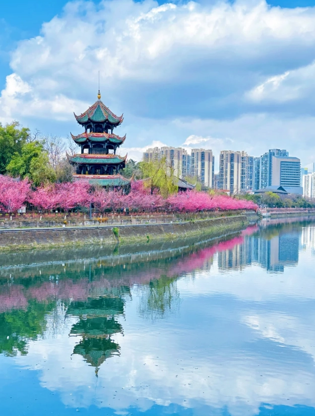 autumn in Chengdu