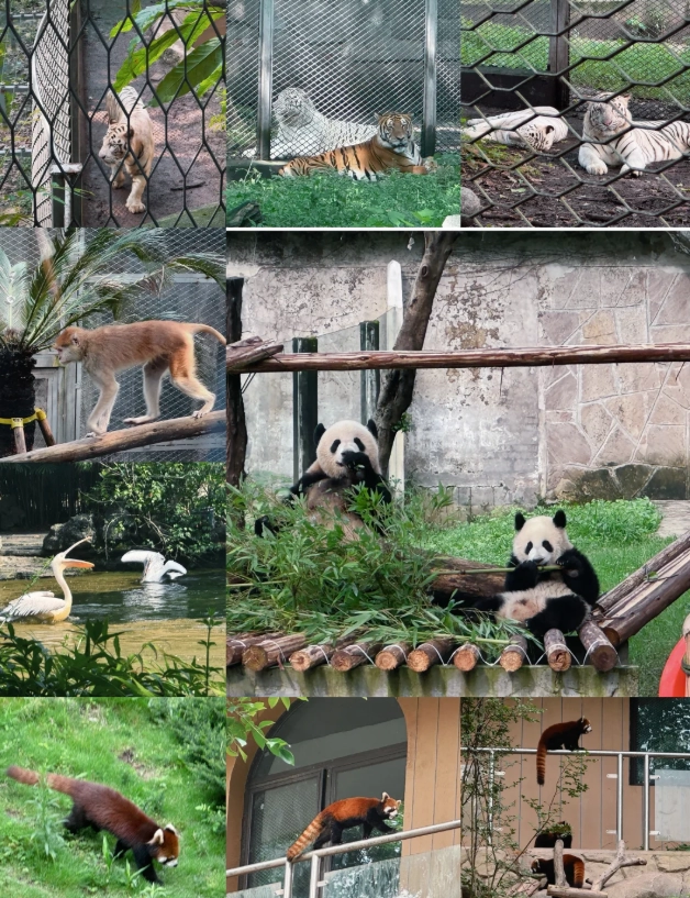 Chongqing attractions Chongqing attractions