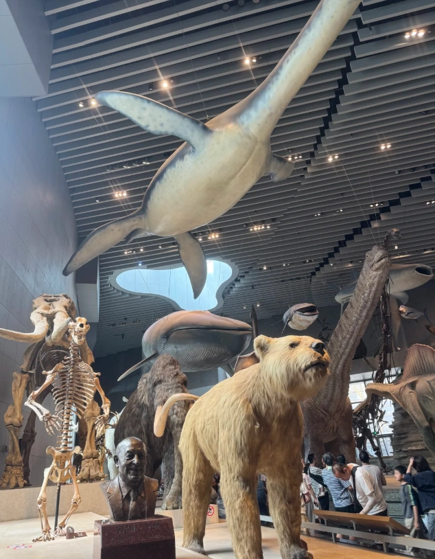 Shanghai aquarium