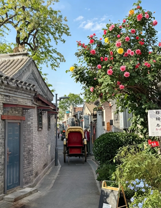Beijing trip planner