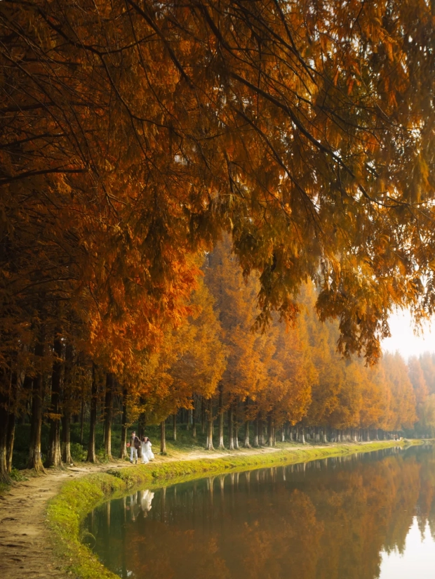 Chengdu weather