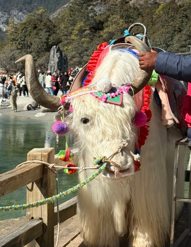 Lijiang itinerary