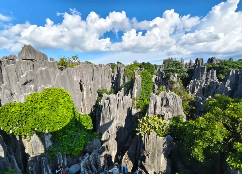 3 Days in Kunming: A Local's Itinerary for Eternal Spring