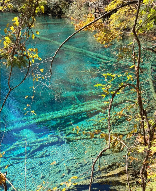 Travel photos of Aba Prefecture: Jiuzhaigou fall foliage