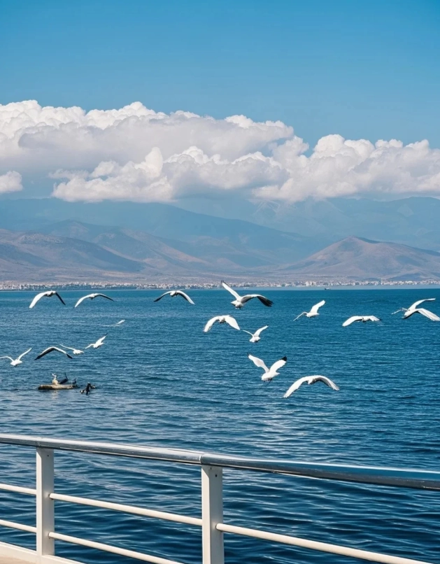 Dali itinerary Dali itinerary