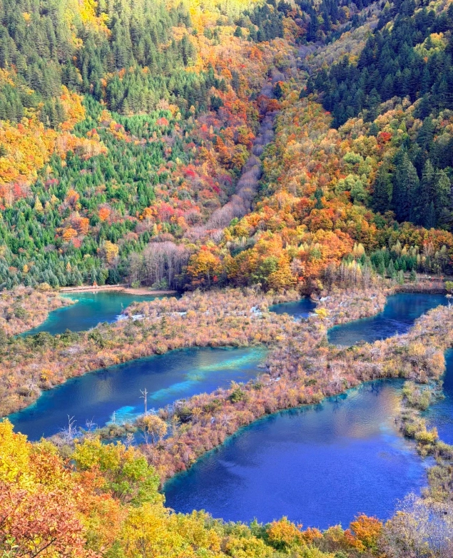 Travel photos of Aba Prefecture: Jiuzhaigou autumn