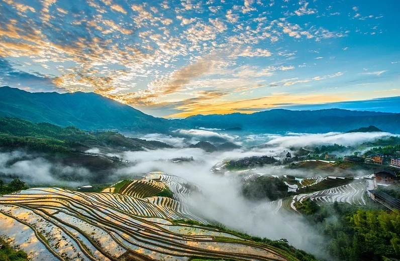 Longji Rice Terraces best time