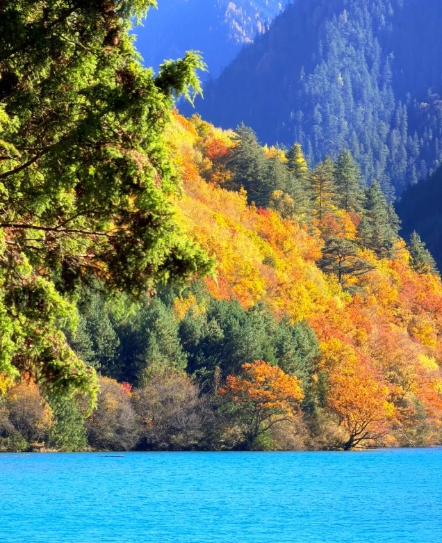 Travel photos of Aba Prefecture: Jiuzhaigou fall foliage