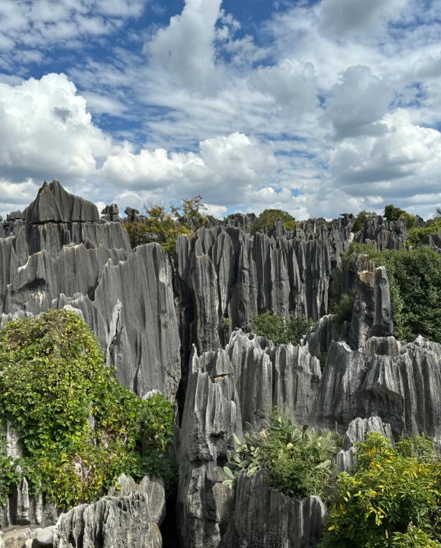 Things to Do in Kunming: Skip the Crowds with Local Secrets