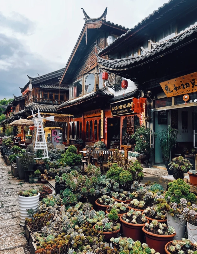 Yulong Snow Mountain Yulong Snow Mountain