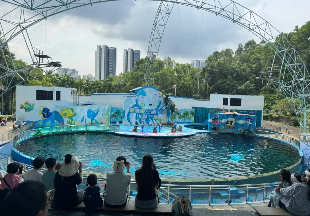 Shenzhen Safari Park animals Shenzhen Safari Park animals
