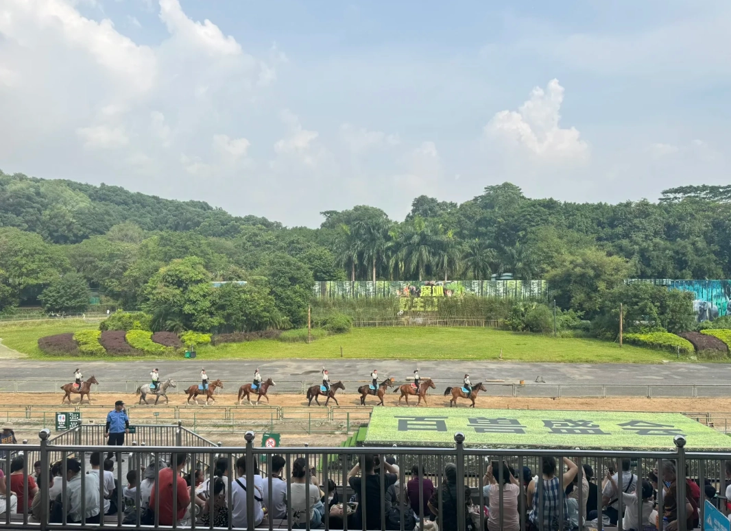 Safari Park Shenzhen guide Safari Park Shenzhen guide