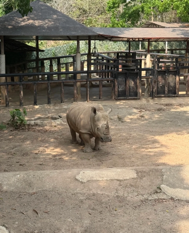 buy Shenzhen safari park tickets online buy Shenzhen safari park tickets online