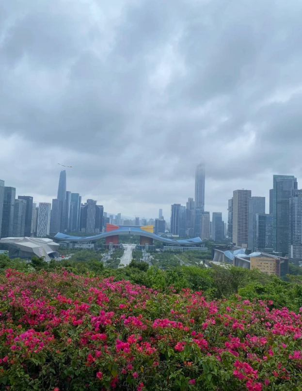 Lianhuashan Park: How to Avoid Crowds and Capture the Best Photos