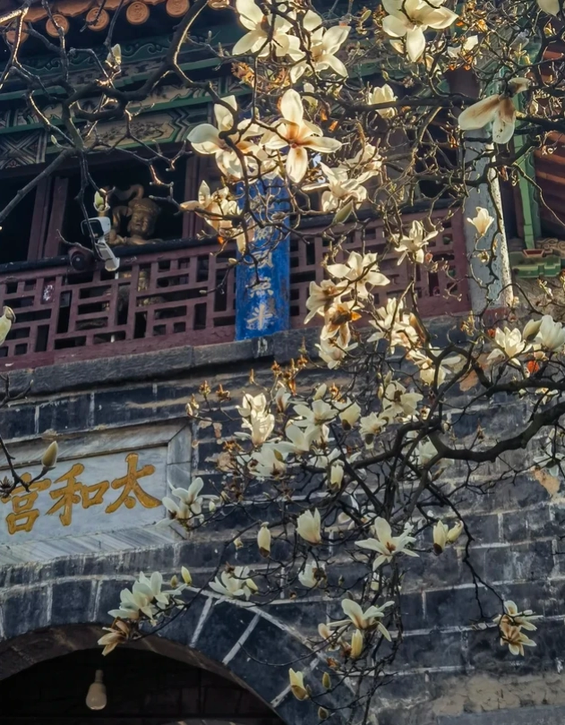 things to do in Kunming