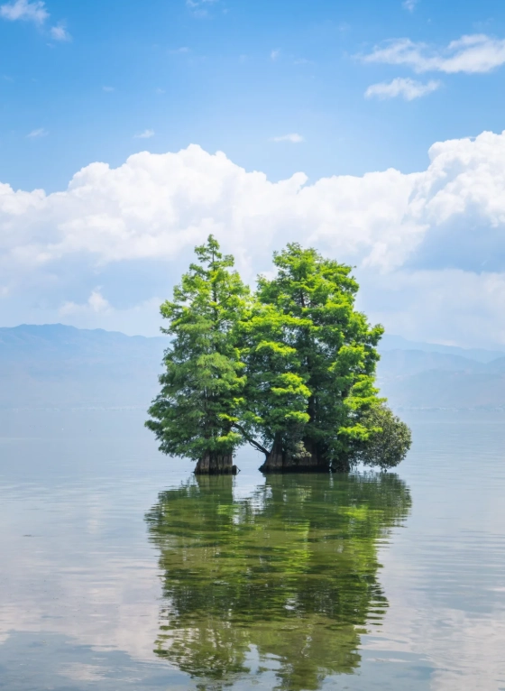 things to do in Dali
