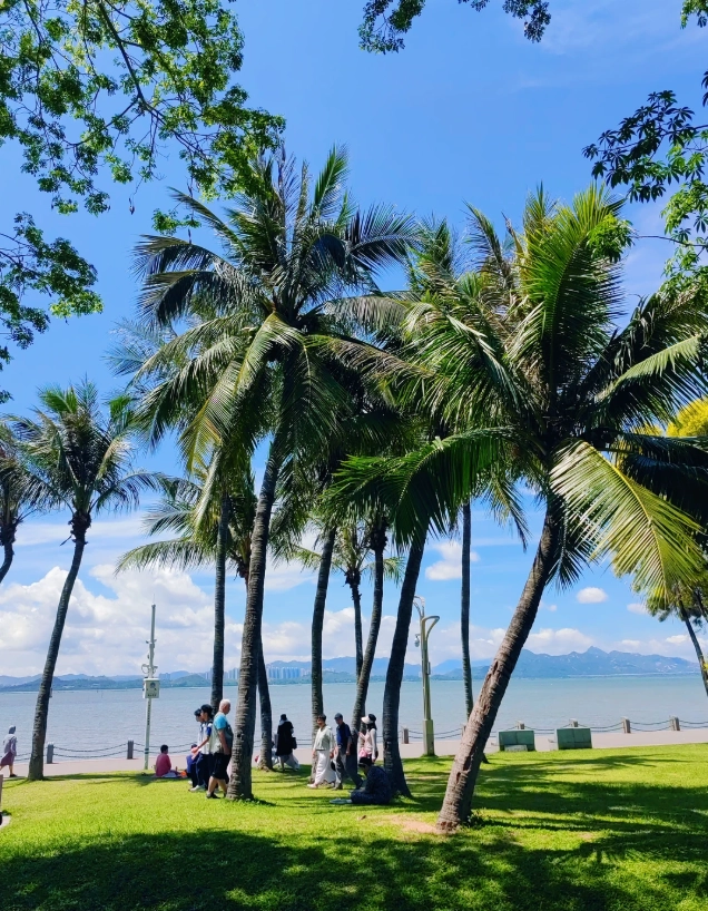 Shenzhen Bay Park Shenzhen Bay Park