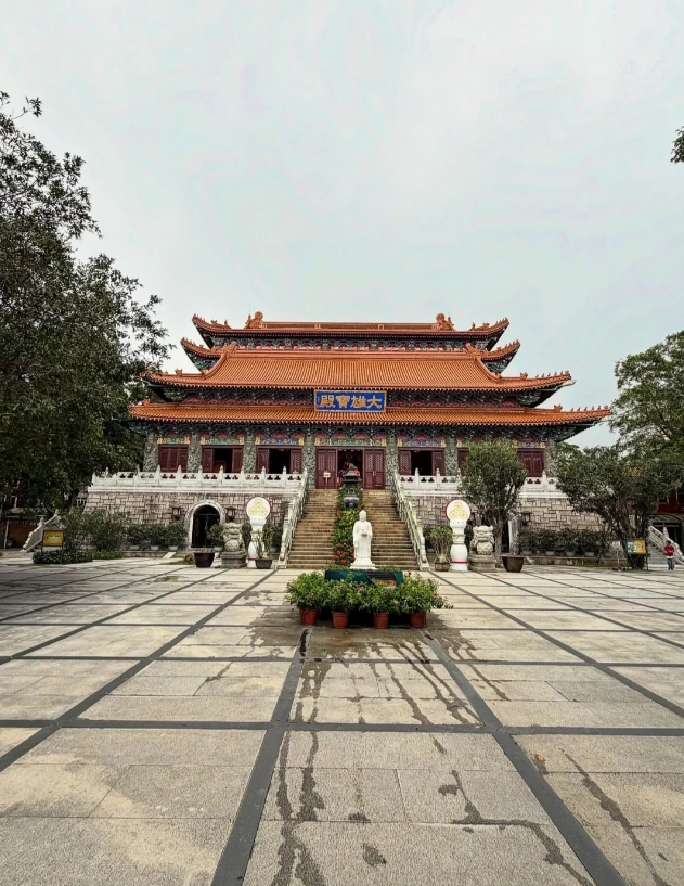 Photo of Tian Tan Buddha & Ngong Ping 360: Ngong Ping 360