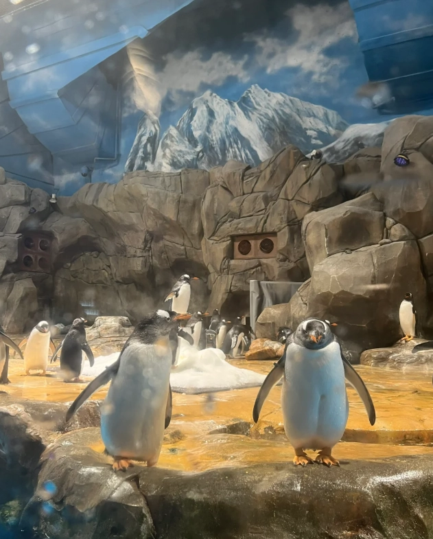 Ocean Park Hong Kong guide Ocean Park Hong Kong guide