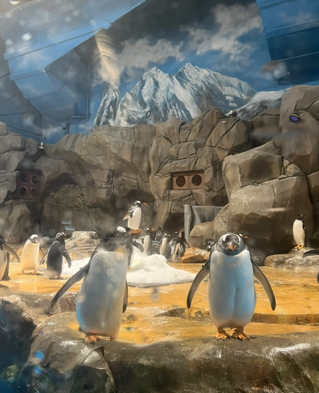 Ocean Park animals