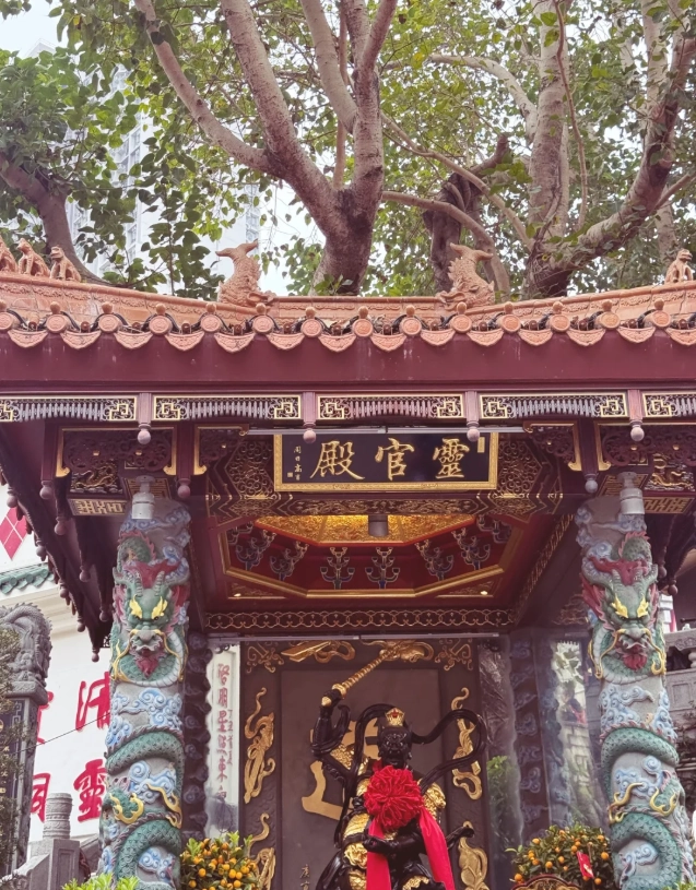 victoria peak tips