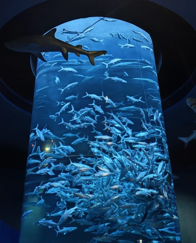best time to visit Ocean Park Hong Kong