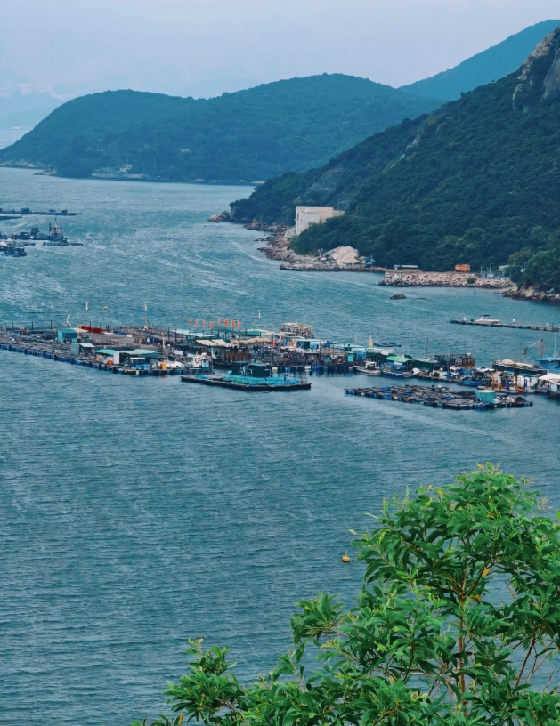 Hong Kong itinerary 5 days