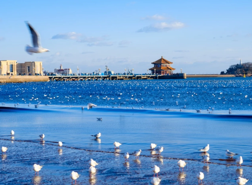 3 days in Qingdao: Beach, Beer & Best Kept Secrets