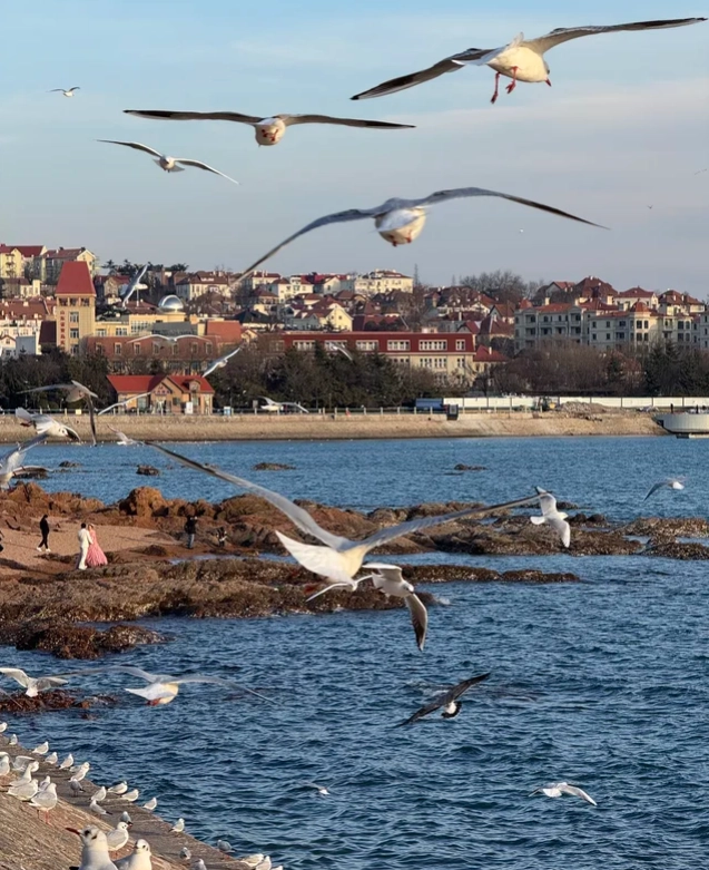 things to do in Qingdao things to do in Qingdao