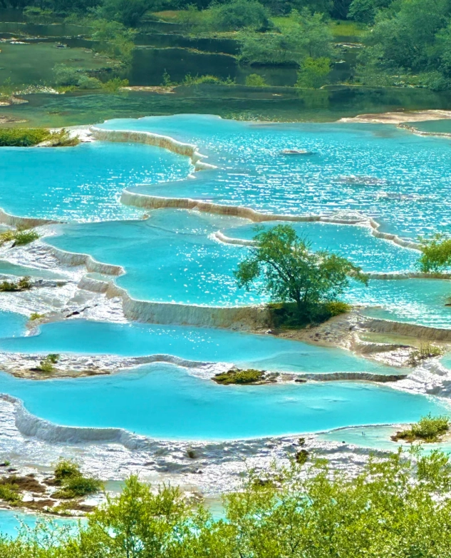 Sichuan nature tour