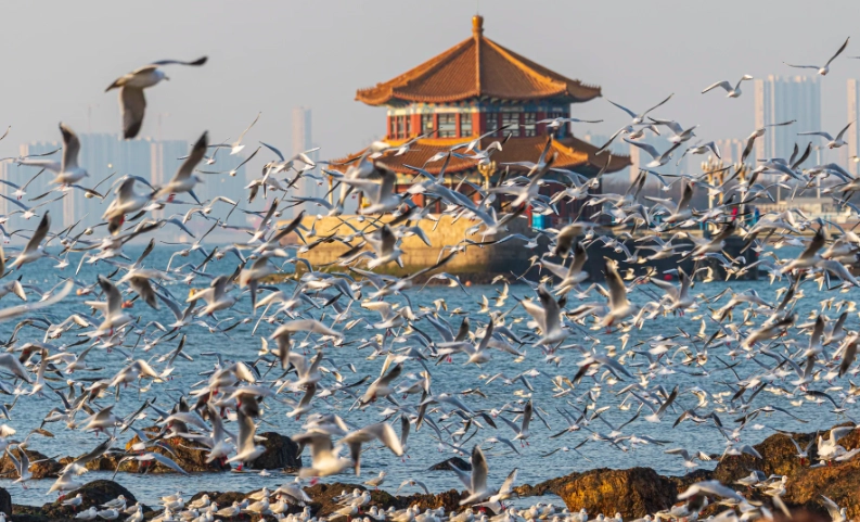 Top 5 Attractions in Qingdao: Must-See Spots for First-Time Visitors