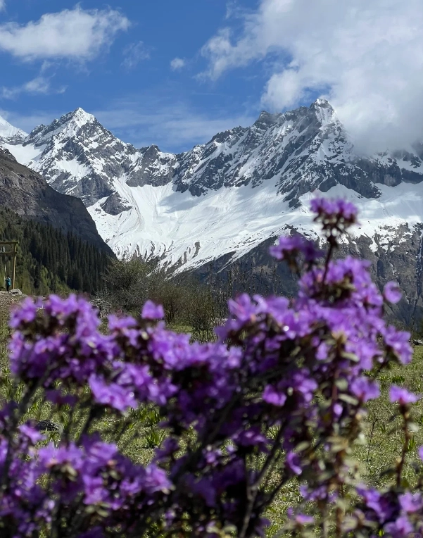 Siguang Mountain travel guide