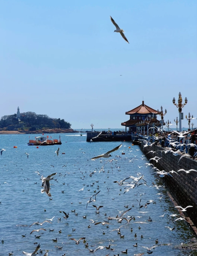 Qingdao travel guide