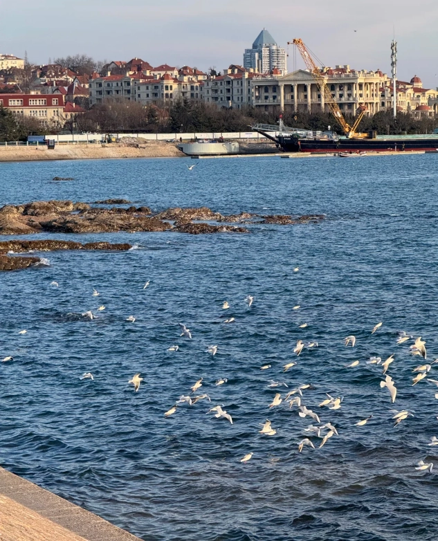 Qingdao itinerary for tourists Qingdao itinerary for tourists
