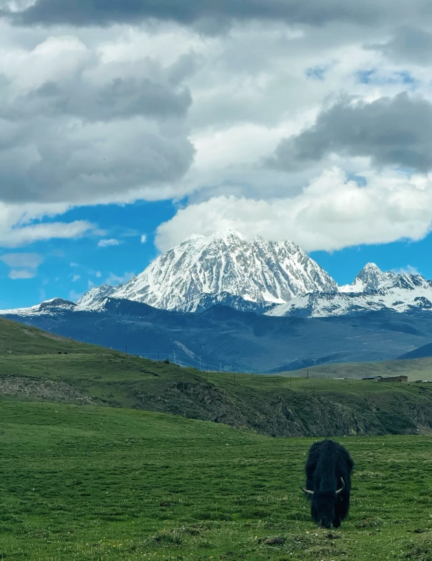 Siguniang Mountain