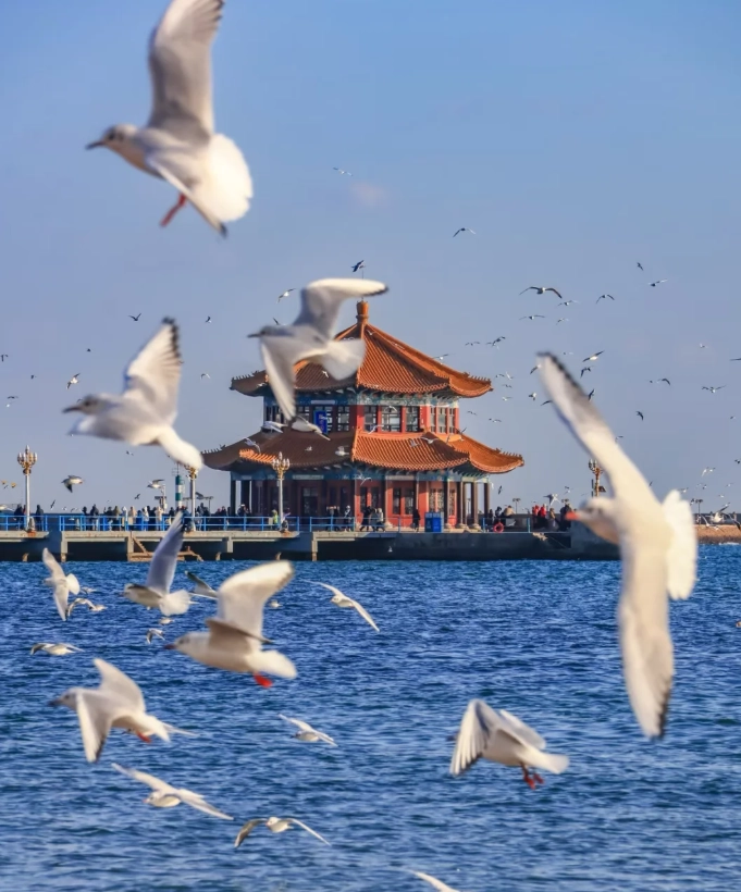when to go to Qingdao