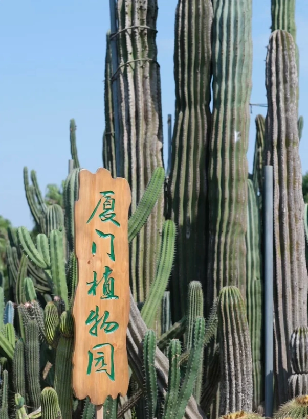 Xiamen Botanical Garden: Worth Visiting? Honest Review