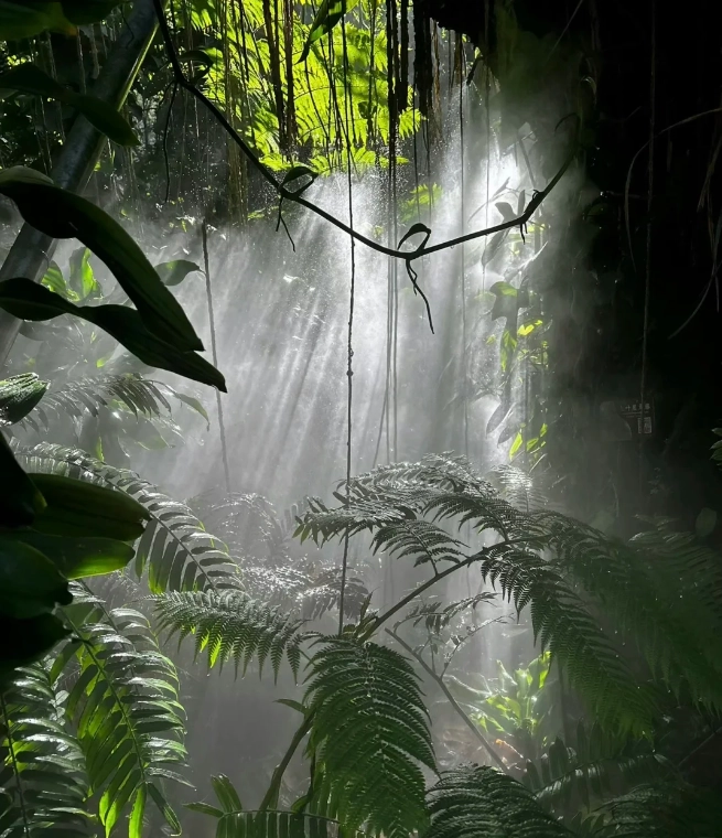 is Xiamen Botanical Garden worth it