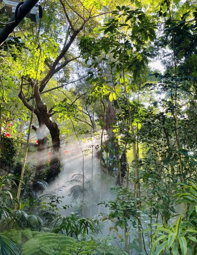Xiamen Botanical Garden review