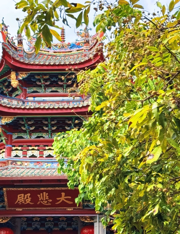 Xiamen day trip Xiamen day trip