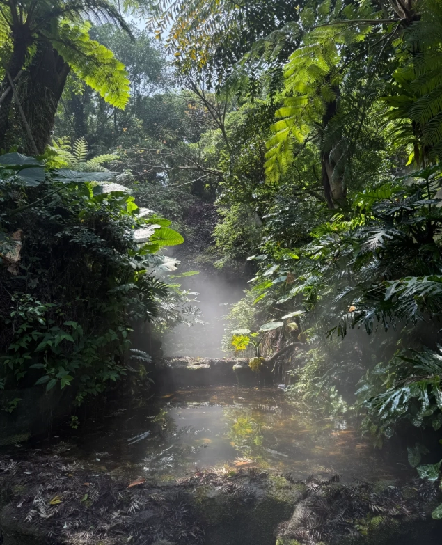 things to do in Xiamen Botanical Garden