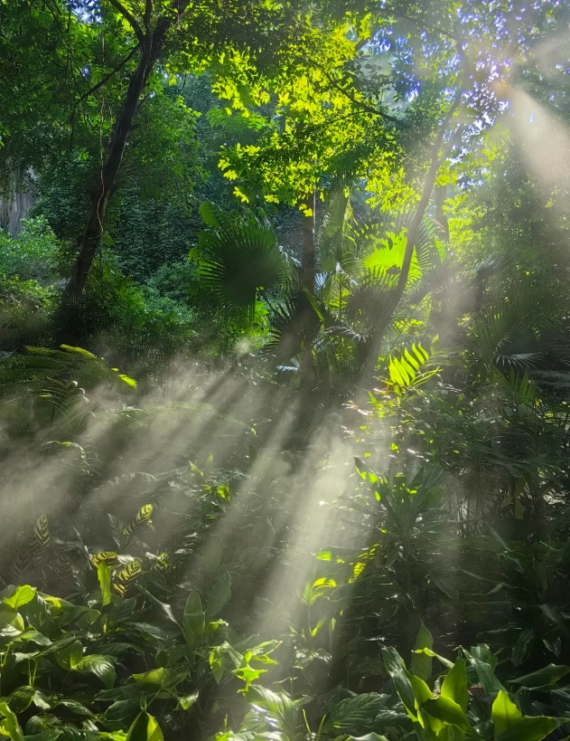 how to visit Xiamen Botanical Garden