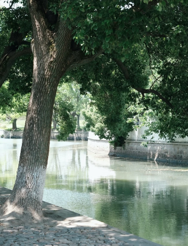 Tongli Water Town day trip from Shanghai