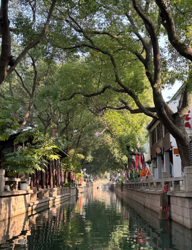 Tongli Water Town: Quieter Canals, Ming Dynasty Vibes, and Local Tips