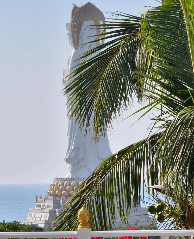 where to stay near Nanshan where to stay near Nanshan