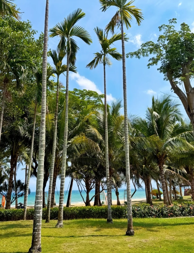Photo of Yalong Bay: Sanya travel tips