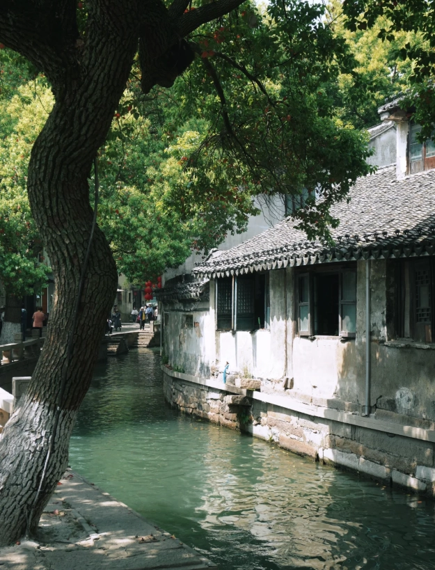 Tongli entrance fee 2025 Tongli entrance fee 2025