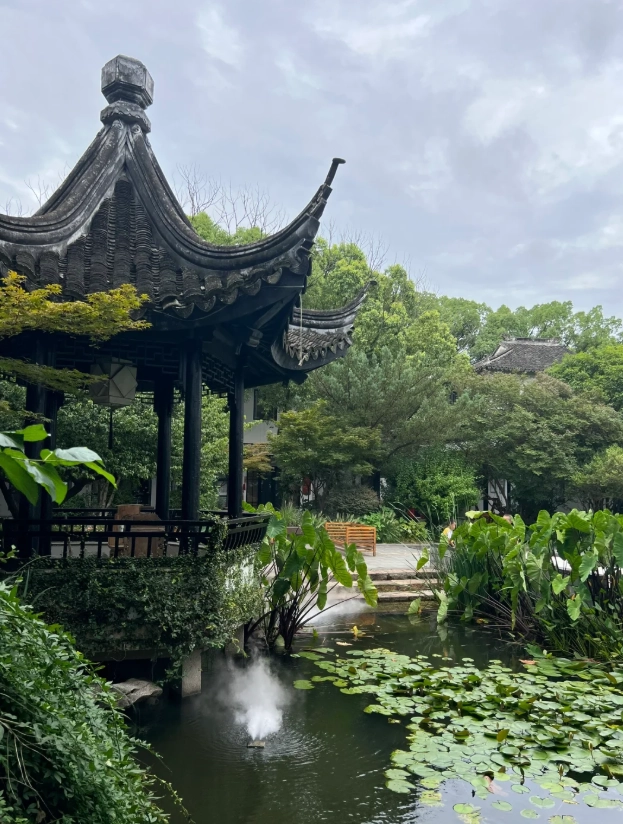 Where to Stay Near Tongli Water Town: Best Areas & Hotels