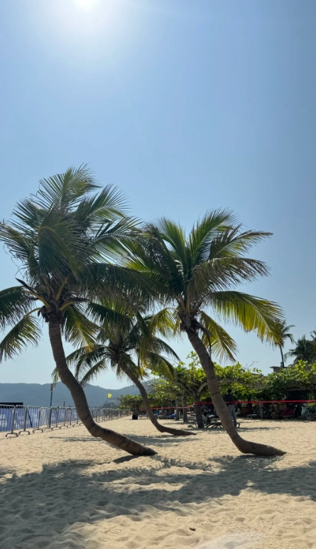 Sanya travel guide